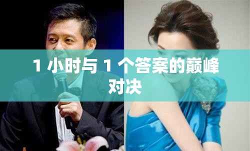 1 小时与 1 个答案的巅峰对决
