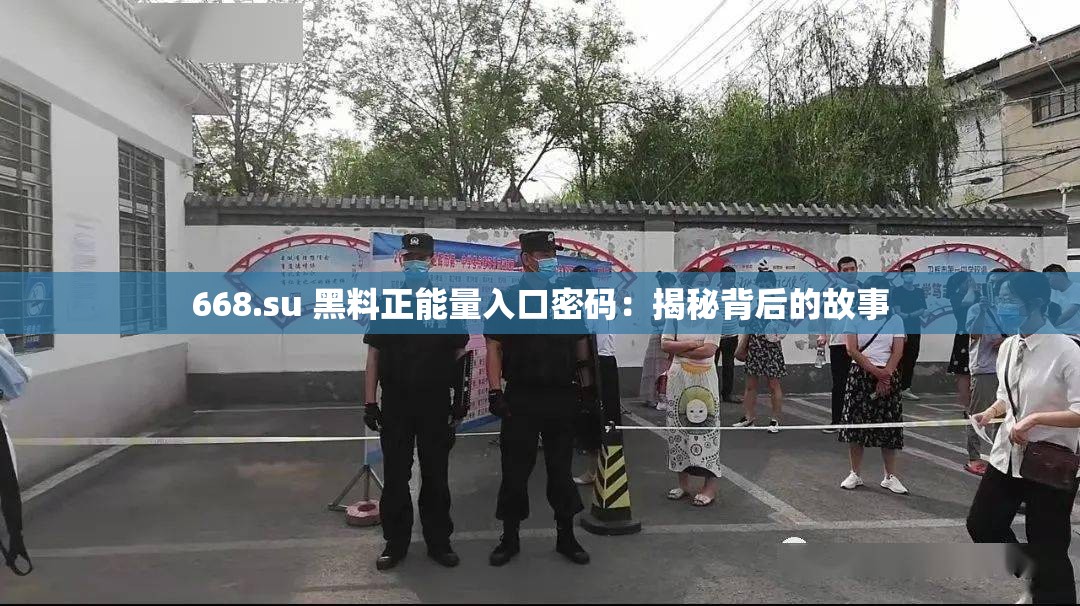 668.su 黑料正能量入口密码：揭秘背后的故事