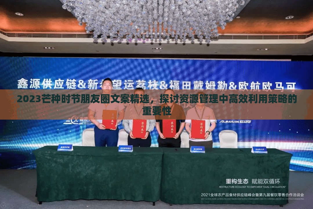 2023芒种时节朋友圈文案精选，探讨资源管理中高效利用策略的重要性