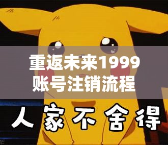 重返未来1999账号注销流程解析，实现资源管理高效利用，避免资源浪费策略