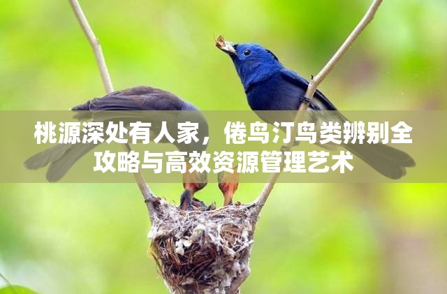 桃源深处有人家，倦鸟汀鸟类辨别全攻略与高效资源管理艺术