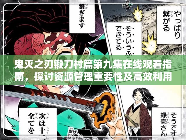 鬼灭之刃锻刀村篇第九集在线观看指南，探讨资源管理重要性及高效利用策略