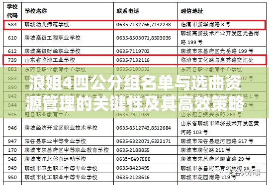 浪姐4四公分组名单与选曲资源管理的关键性及其高效策略应用解析