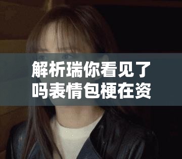 解析瑞你看见了吗表情包梗在资源管理中的重要性及高效策略应用