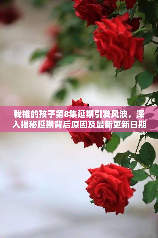我推的孩子第8集延期引发风波，深入揭秘延期背后原因及最新更新日期