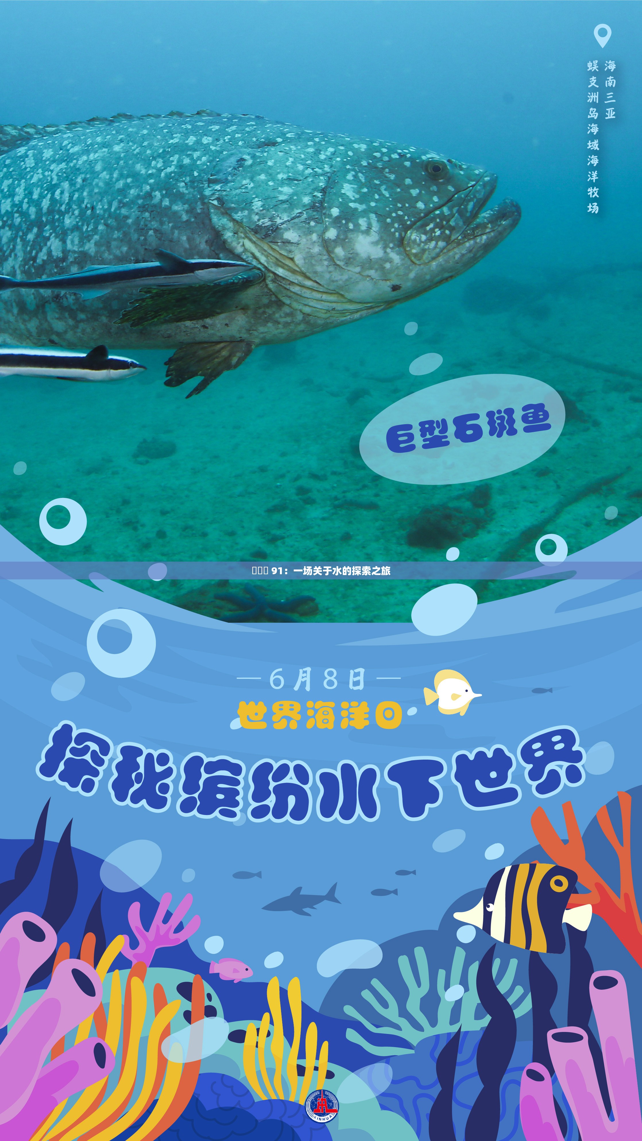 氺茤茤 91：一场关于水的探索之旅