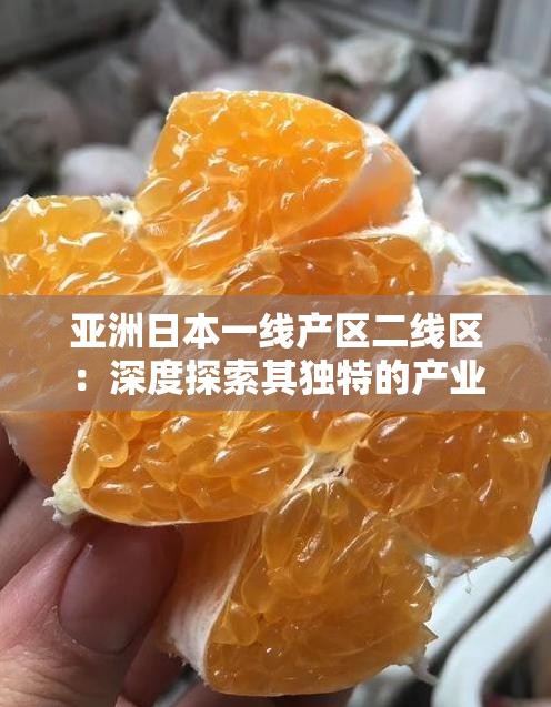 亚洲日本一线产区二线区：深度探索其独特的产业优势