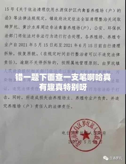 错一题下面查一支笔啊哈真有趣真特别呀