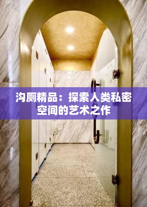 沟厕精品：探索人类私密空间的艺术之作
