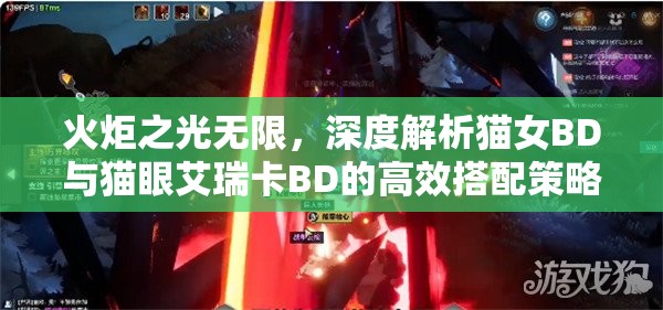 火炬之光无限，深度解析猫女BD与猫眼艾瑞卡BD的高效搭配策略