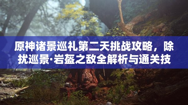 原神诸景巡礼第二天挑战攻略，除扰巡景·岩盔之敌全解析与通关技巧