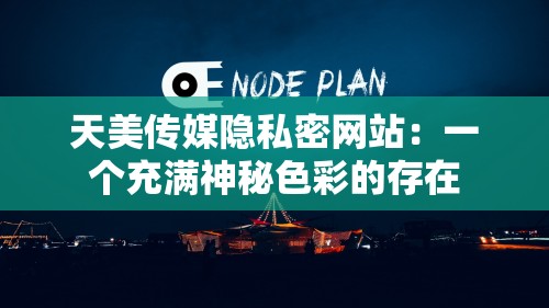 天美传媒隐私密网站：一个充满神秘色彩的存在