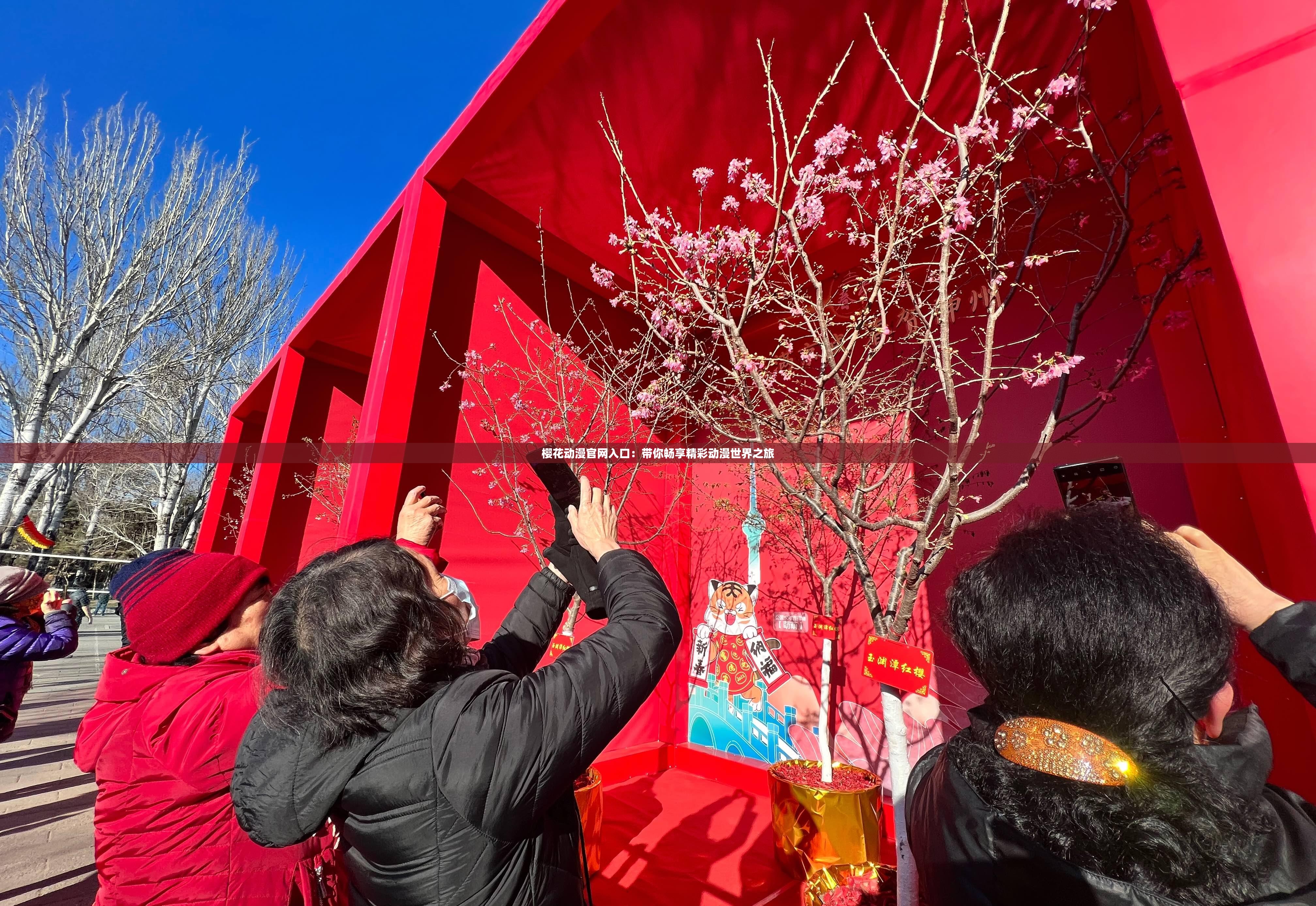 樱花动漫官网入口：带你畅享精彩动漫世界之旅
