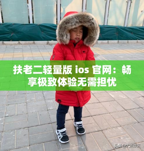 扶老二轻量版 ios 官网：畅享极致体验无需担忧