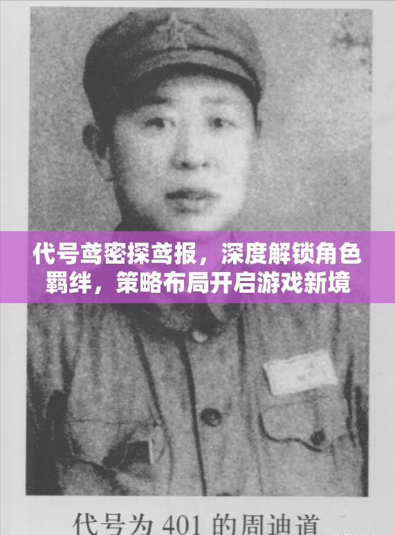 代号鸢密探鸢报，深度解锁角色羁绊，策略布局开启游戏新境界