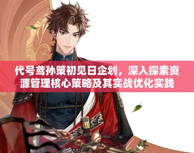 代号鸢孙策初见日企划，深入探索资源管理核心策略及其实战优化实践