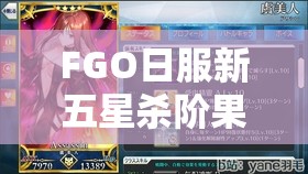 FGO日服新五星杀阶果心居士，宝具技能全面解析与高效资源管理策略