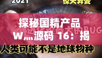 探秘国精产品 W灬源码 16：揭开神秘面纱的背后故事