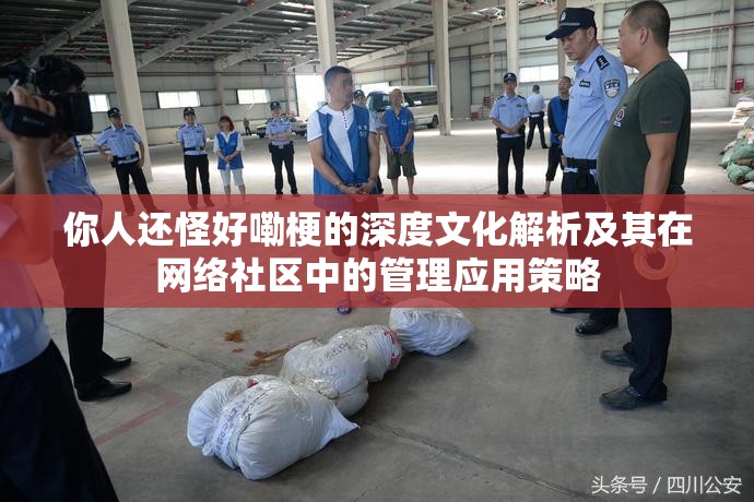 你人还怪好嘞梗的深度文化解析及其在网络社区中的管理应用策略