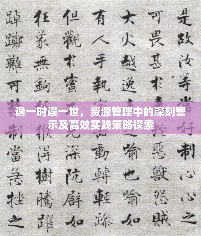 逸一时误一世，资源管理中的深刻警示及高效实践策略探索