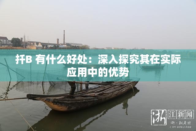 扦B 有什么好处：深入探究其在实际应用中的优势