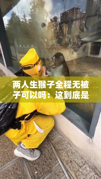 两人生猴子全程无被子可以吗：这到底是怎么回事呢