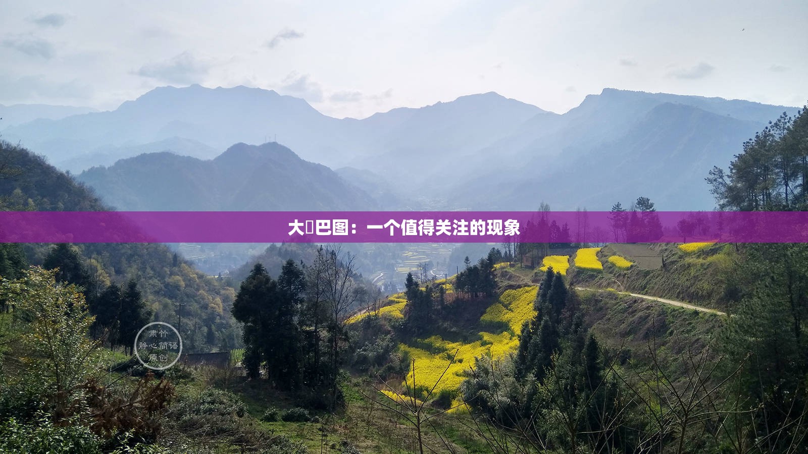 大鳮巴图：一个值得关注的现象