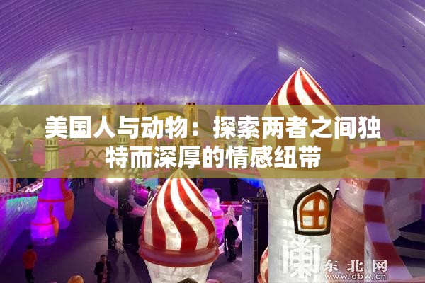 美国人与动物：探索两者之间独特而深厚的情感纽带