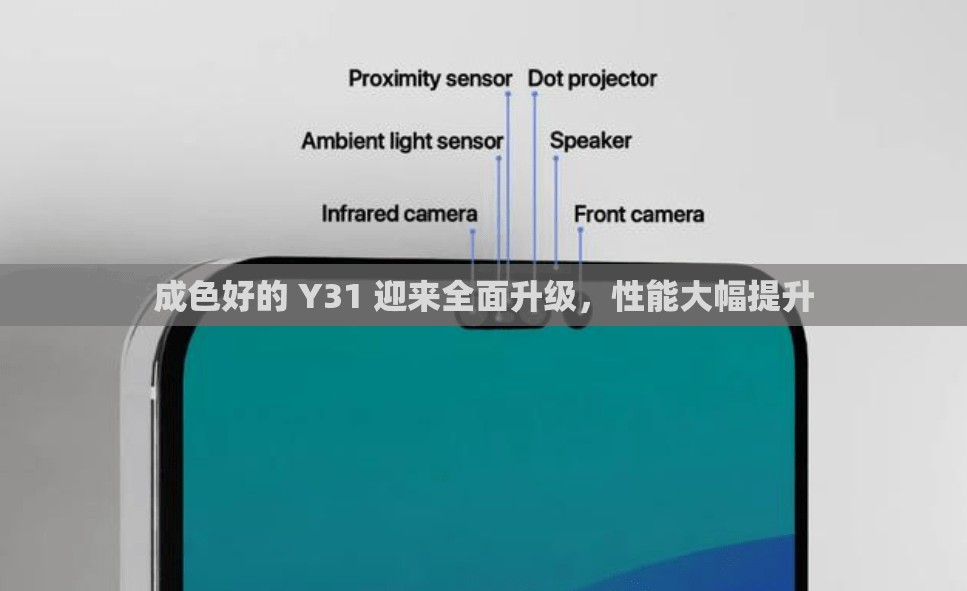 成色好的 Y31 迎来全面升级，性能大幅提升