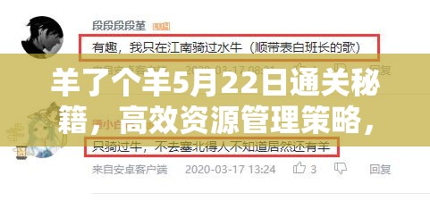 羊了个羊5月22日通关秘籍，高效资源管理策略，助你轻松跨越游戏难关