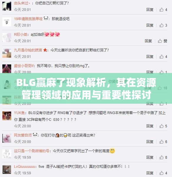 BLG赢麻了现象解析，其在资源管理领域的应用与重要性探讨