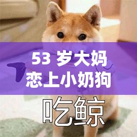 53 岁大妈恋上小奶狗：这段不被看好的感情该何去何从
