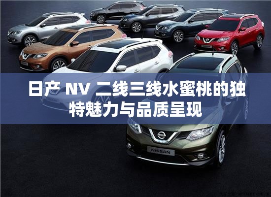日产 NV 二线三线水蜜桃的独特魅力与品质呈现