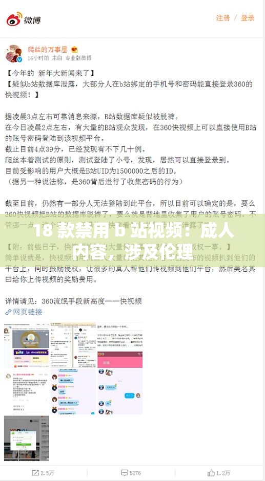 18 款禁用 b 站视频：成人内容，涉及伦理