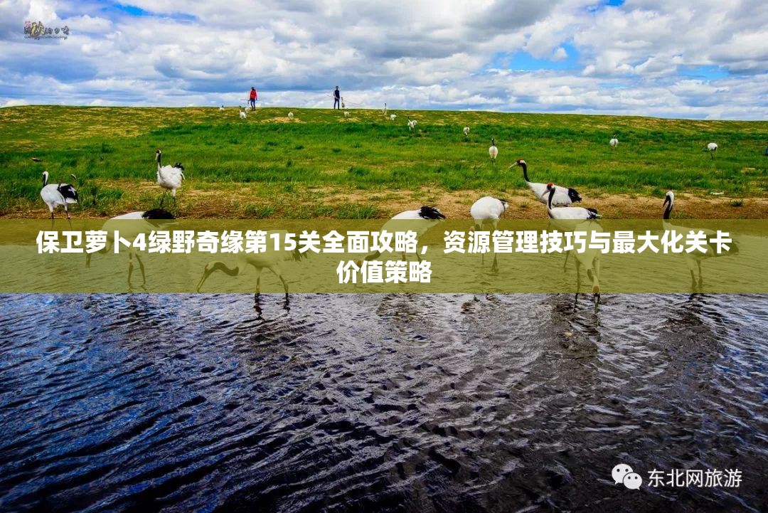 保卫萝卜4绿野奇缘第15关全面攻略，资源管理技巧与最大化关卡价值策略