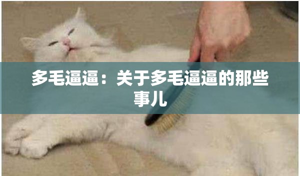 多毛逼逼：关于多毛逼逼的那些事儿
