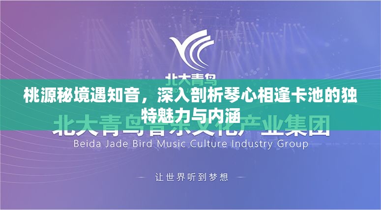 桃源秘境遇知音，深入剖析琴心相逢卡池的独特魅力与内涵
