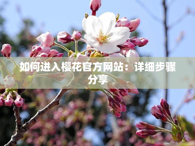 如何进入樱花官方网站：详细步骤分享