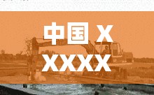 中国 XXXXXL 17：引领时尚新潮流的非凡存在