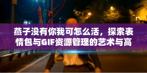 燕子没有你我可怎么活，探索表情包与GIF资源管理的艺术与高效策略