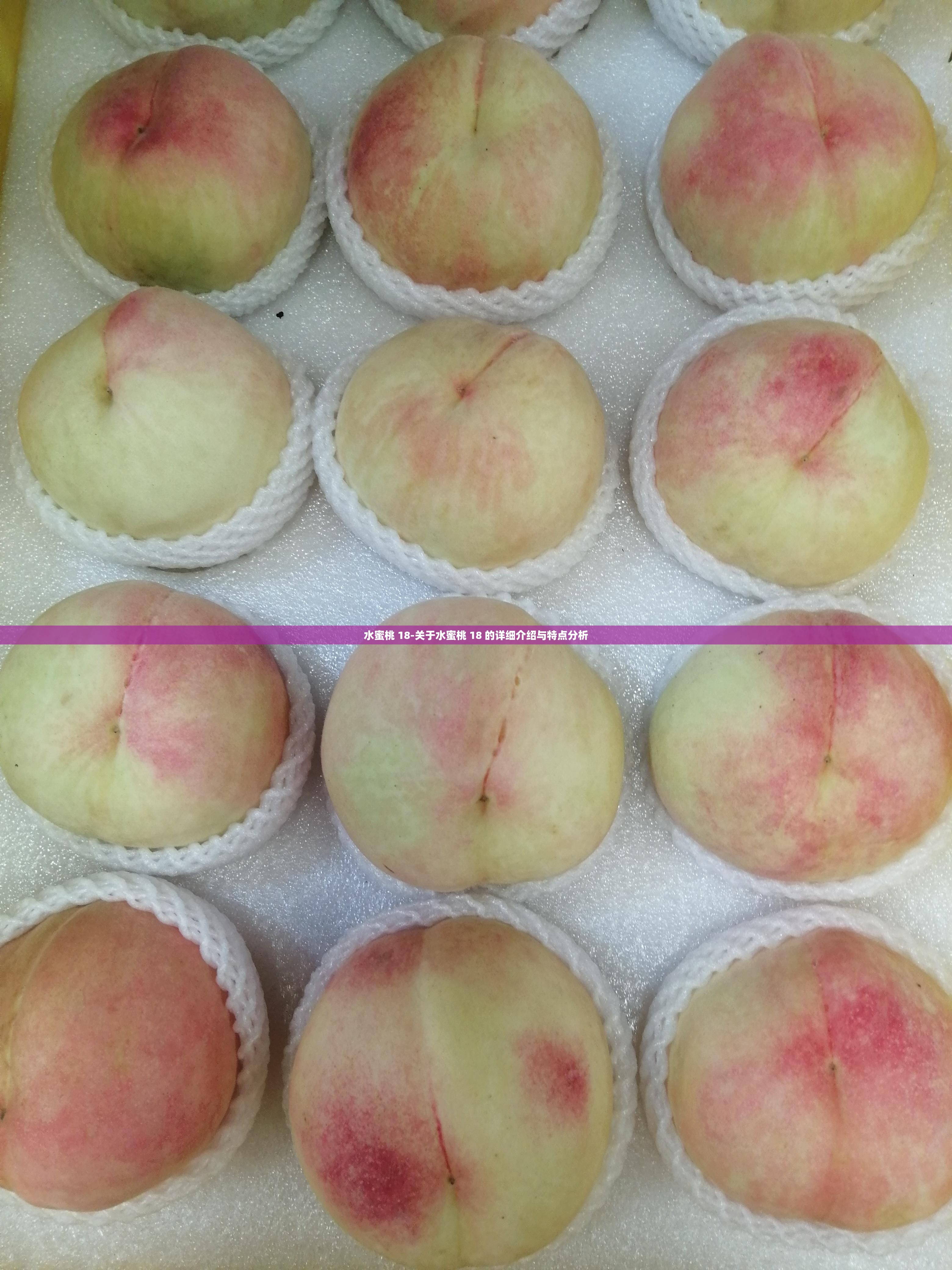 水蜜桃 18-关于水蜜桃 18 的详细介绍与特点分析