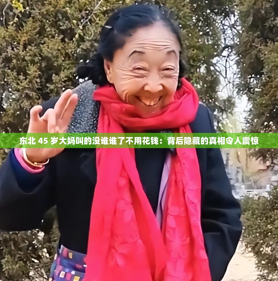 东北 45 岁大妈叫的没谁谁了不用花钱：背后隐藏的真相令人震惊