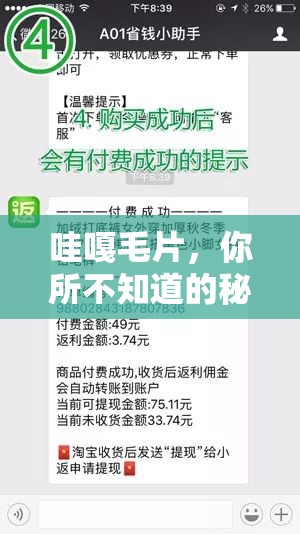 哇嘎毛片，你所不知道的秘密：揭秘这个备受争议的资源平台