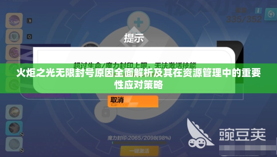 火炬之光无限封号原因全面解析及其在资源管理中的重要性应对策略