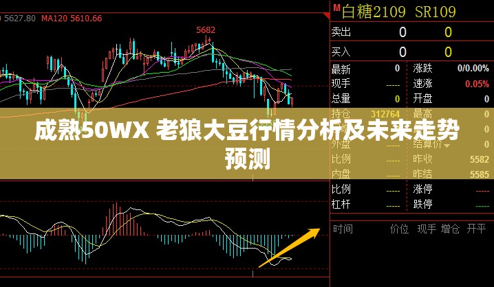 成熟50WX 老狼大豆行情分析及未来走势预测