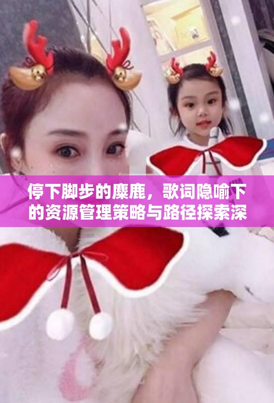 停下脚步的麋鹿，歌词隐喻下的资源管理策略与路径探索深思