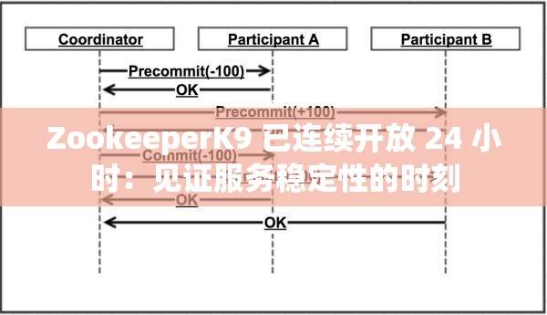 ZookeeperK9 已连续开放 24 小时：见证服务稳定性的时刻