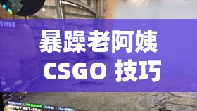 暴躁老阿姨 CSGO 技巧揭秘- 全面详细的技巧讲解与实战分析