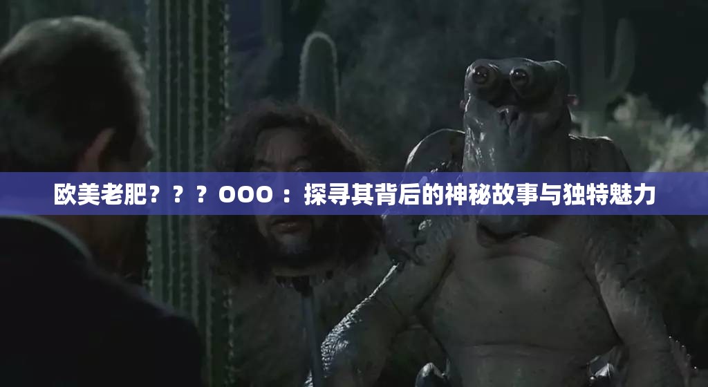 欧美老肥？？？OOO ：探寻其背后的神秘故事与独特魅力