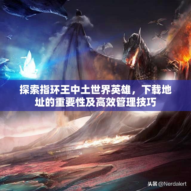 探索指环王中土世界英雄，下载地址的重要性及高效管理技巧
